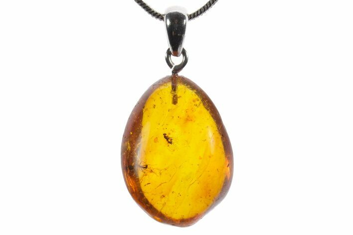Polished Baltic Amber Pendant (Necklace) - Contains Flies! #352959